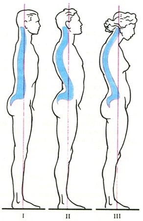 Curburile coloanei vertebrale, formarea curbelor fiziologice