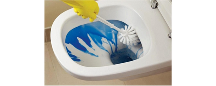 Cum și cum să curățați vasul toaletei
