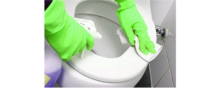 Cum și cum să curățați vasul toaletei