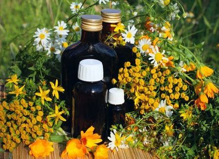 Ce ierburi ajuta cu daisy african, calendula, sunătoare