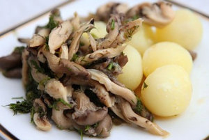 Cum sa marinati ciupercile de stridii pentru retete de gatit la domiciliu, ciuperci