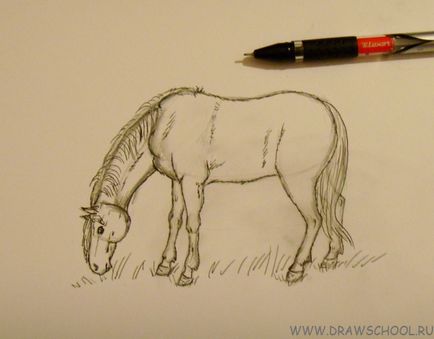 Cum să atragă un cal în creioane colorate în etape