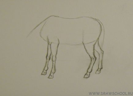 Cum să atragă un cal în creioane colorate în etape