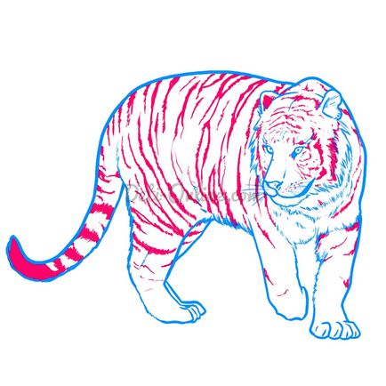 Hogyan kell felhívni a tigris ceruza szakaszos állatok - a tanulságok levonása - hasznos artsphera