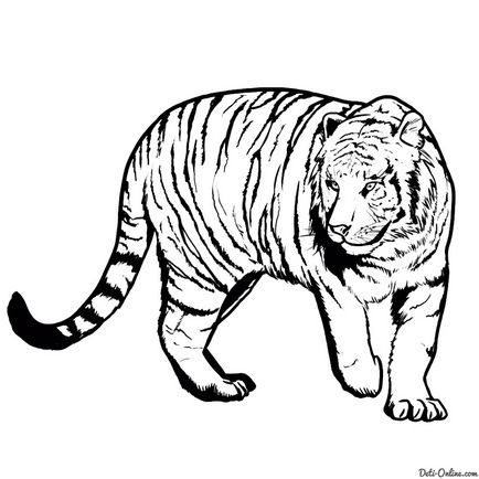 Cum de a desena un tigru în creion pas cu pas animale - lecții de desen - utile pe artsphera