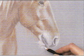 Cum să desenați un cap de cal cu creioane colorate, trageți-l singur