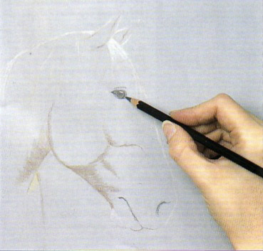 Як намалювати кольоровими олівцями голову коня, намалюємо самі