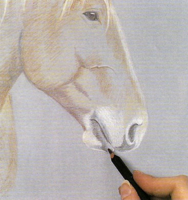 Як намалювати кольоровими олівцями голову коня, намалюємо самі