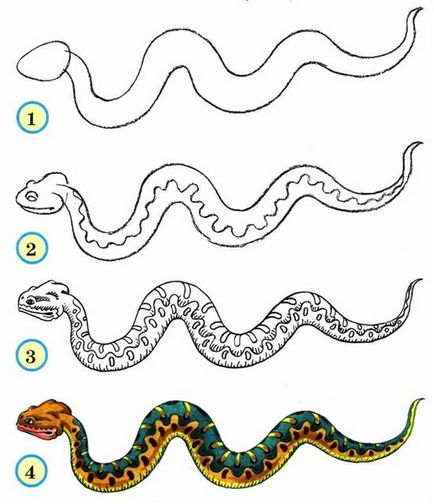 Cum de a desena un șarpe - un simbol al anului 2013