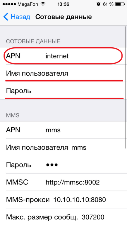 Cum se configurează Internetul pentru iphone - icewiki