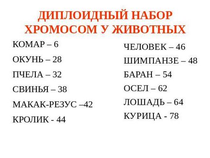 Яке значення мають хромосоми чому їх число в клітці постійно 5 клас