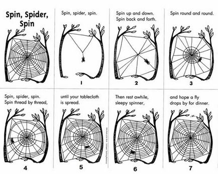 Як павук плете павутину, склад павутини павука
