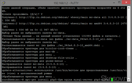 Cum de a genera un server web (apache2 nginx mysql phpmyadmin) pe vps debian 7