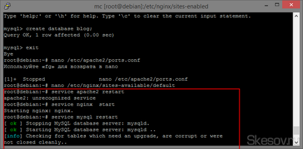 Cum de a genera un server web (apache2 nginx mysql phpmyadmin) pe vps debian 7