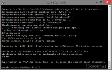 Cum de a genera un server web (apache2 nginx mysql phpmyadmin) pe vps debian 7