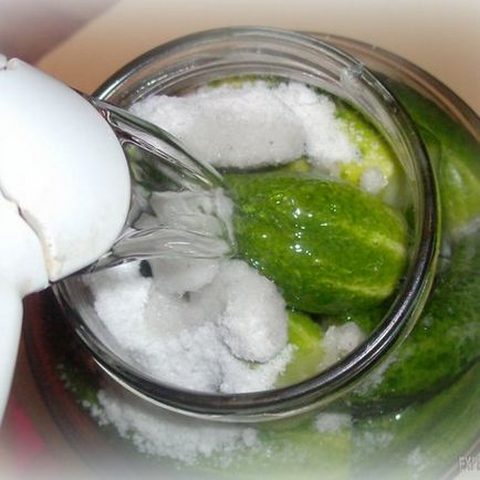 Як посолити огірки холодним, або - кислим, способом, expertoza