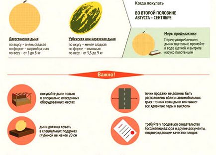 Cum sa alegi un pepene galben dulce, sa determine maturitatea intr-o gradina, video