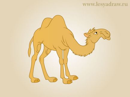 Як малювати верблюда