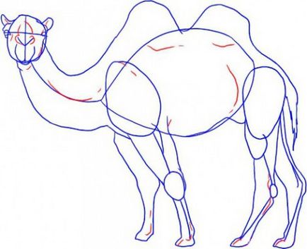 Як малювати верблюда