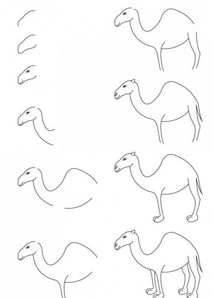 Cum de a desena un camel