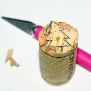 Cum să faceți o ștampilă cu propriile mâini (faceți) Cum să faci o ștampilă cu mâinile tale