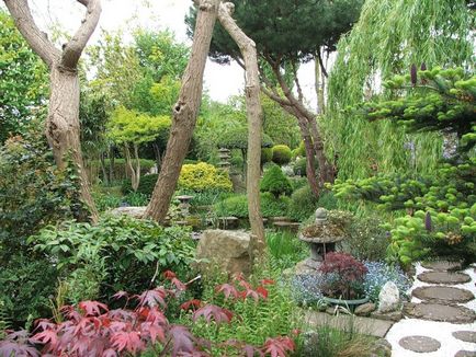 Hogyan hozzunk létre egy japán kert az ország, ország tervezési ötletek és tippek az otthoni és kerti