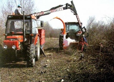 Як видалити поросль вишні