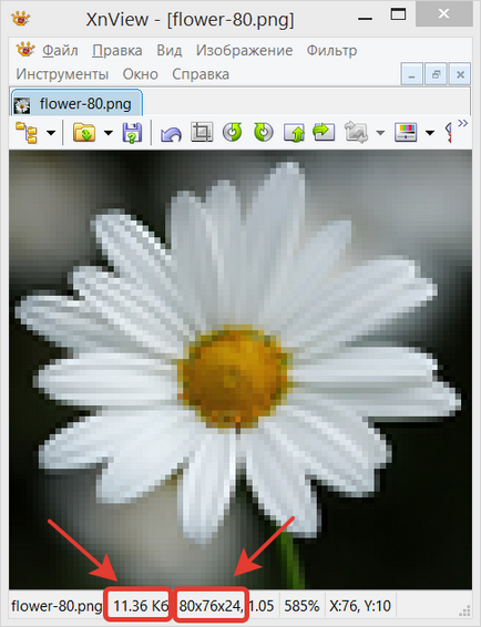 Cum de a reduce dimensiunea unei imagini într-un program gratuit xnview