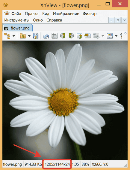 Як зменшити розмір картинки в безкоштовній програмі xnview