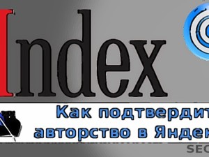 Cum să setați contorul de valori Yandex la un site în wordpress