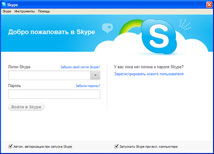 Cum să intrați în Skype - despre Internet și computere pentru ceainice absolute