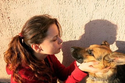 Cum locuiește un adăpost pentru câini la 50 km de Minsk?