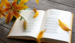 Cum traducerea literală din termenul juridic francez de forță majoră (traducere) Cum o traducere literală din termenul juridic francez este forța majoră