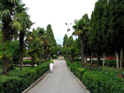 Kötélpálya, parkok, kertek, az állatkert, a színház a tengeri állatok, krokodilyarium Krímben, falu