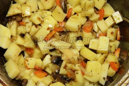 Ragu burgonyával gombák (gombák) Burgonya pörkölt gombával