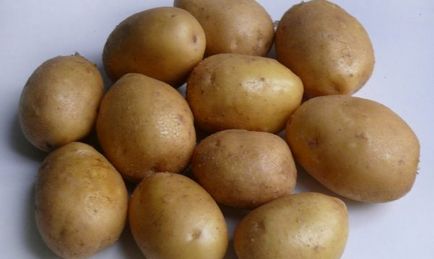 Descriere varietate de cartofi Jelly, fotografii, recenzii