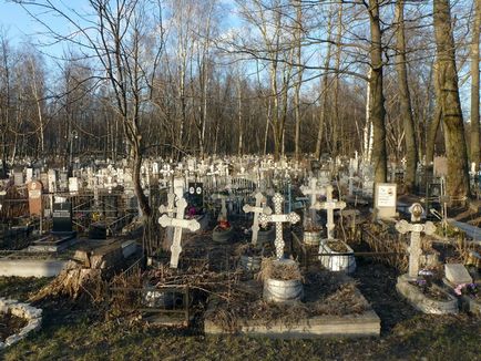 Kinoveevskoe cimitir, Sankt-Petersburg cum să ajungi acolo, istorie, biserică