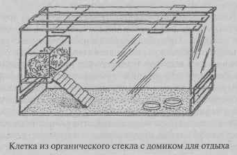 Клітини для їжаків