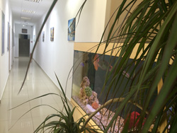 Clinica vizimed în lyublino și marino, site-ul oficial
