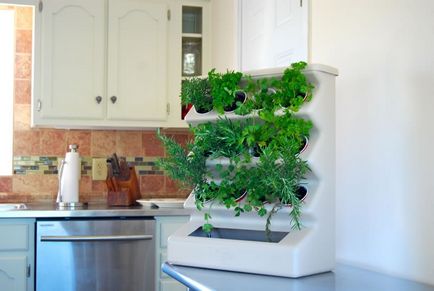 Кімнатна овочівництво - новий погляд на кухонний інтер'єр