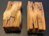 Conservarea lemnului de protecție a lemnului de îmbătrânire, putrefacție, protejează copacul de influențele externe