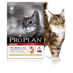 Alimente pentru pisici, pisici si pisici purina pro plan