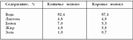 Etetés kölykök vetsovet (cica kölykök táplált cica élelmiszer táplálás) Etetés kiscicák vetsovet