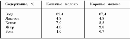 Годування кошенят, ветсовет