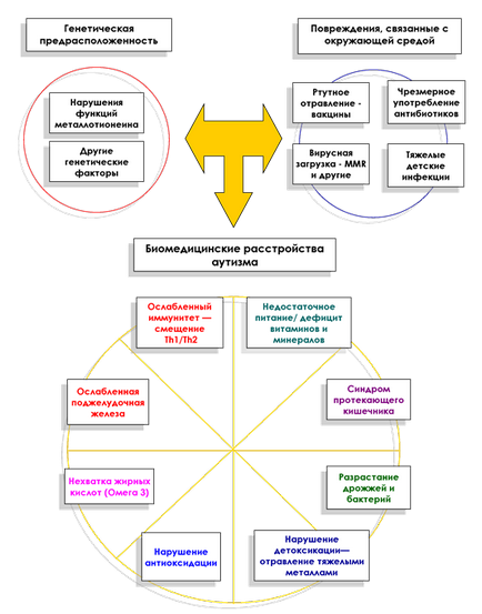 Corectarea autismului