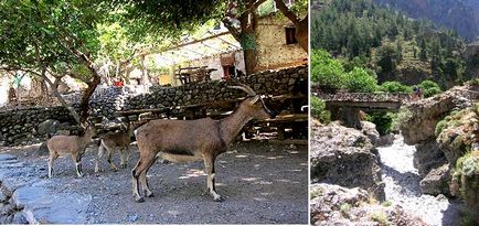 Крит, самарійськую ущелині