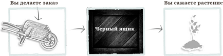 Vásárolja uborka magokat Hasbulat f1 uborka 10 db a legjobb áron a szállítási Moszkva és Oroszország