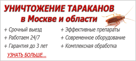 Кусають чи таргани людини як виглядає і наскільки небезпечний укус