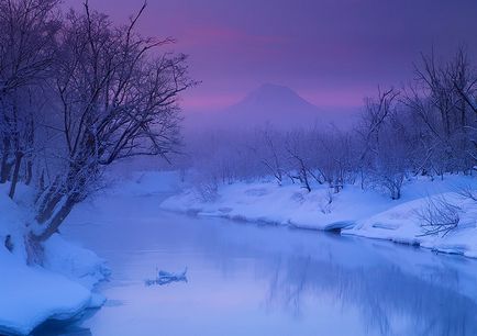 Swan Kamchatka, știri despre fotografii