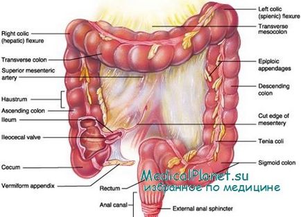 Tratamentul diareei cronice (diaree) la copii